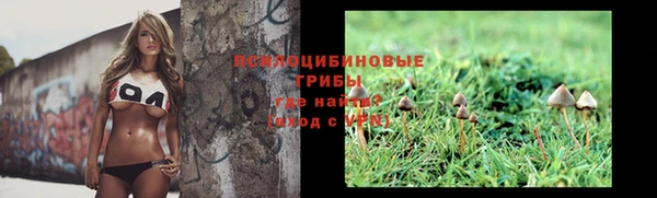 прущая мука Верея